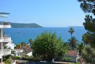 Апартаменты Petrovic house Херцег-Нови Номер-студио с балконом-2